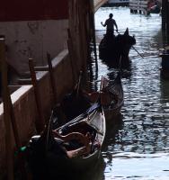Gondolieri, Venice