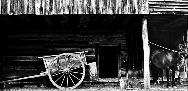 Farm Wagon and Bay Horse