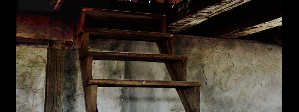 Stairs to the Threshing Floor, Scott Barn