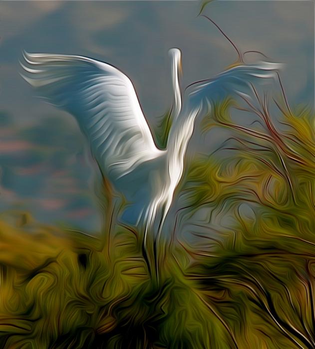 Great Egret Alighting. Photograph by Dan Mangan